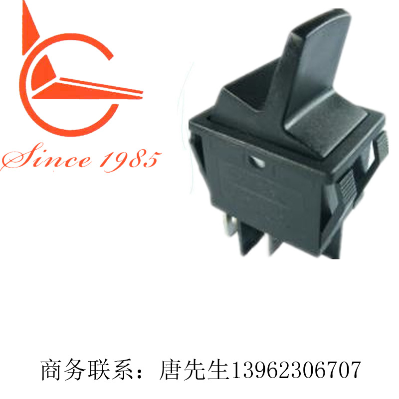 黑色两档双联四脚大船型开关R515KKFT0FA批发