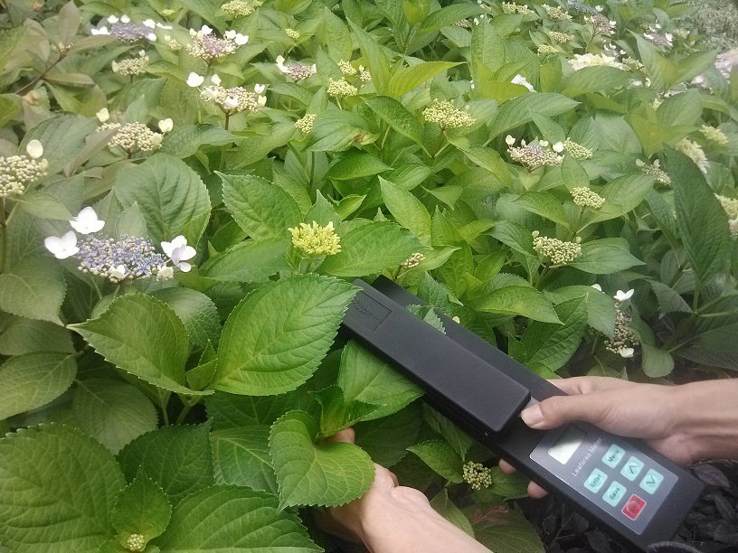 叶面积测量仪 _型号HAD-LAM