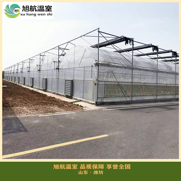 weixintupian_20190223162020_副本