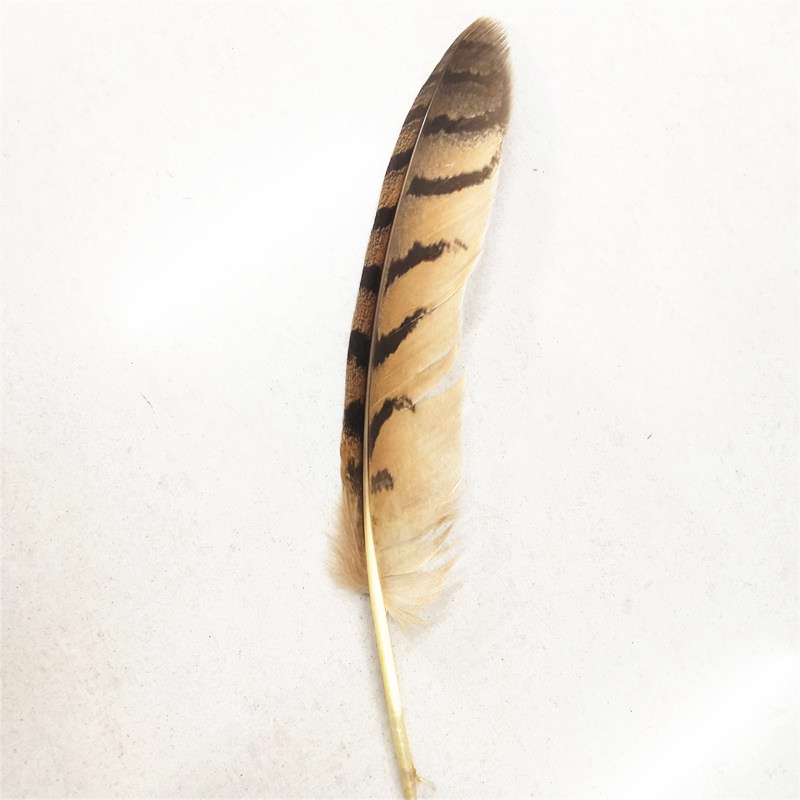 IMG_20190413_142146_副本