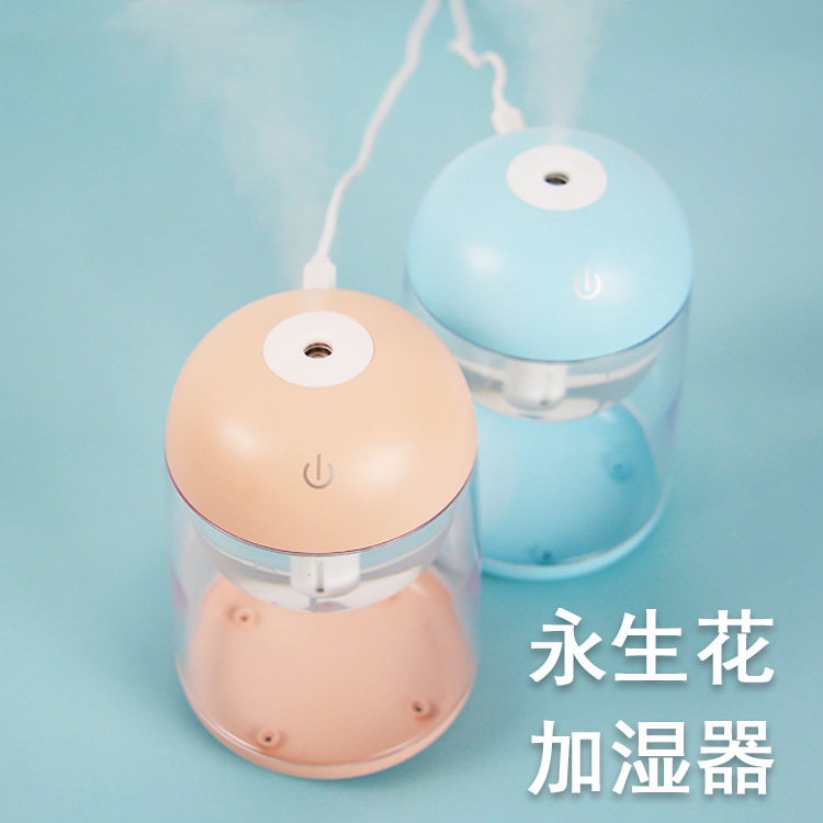 点灯猫永生花加湿器插电款创意带灯七彩香薰机空气加湿器摆件|ru