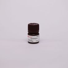 X-gal (20mg/ml)     X1010         5ml/瓶  X-gal   索莱宝