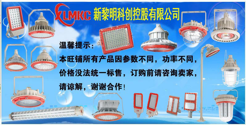 A型集中电源集中控制型防爆应急疏散指示灯 集电集控型消防应急灯