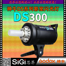 GODOX神牛DS300 W瓦影室影楼闪光灯摄影棚柔光灯景物人像拍照服装