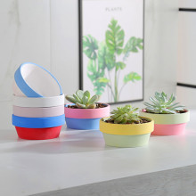 �͹Ų��Lins�L���W���⻨���R�����t��͸��͸ˮ��ɫ���s��ڏ���