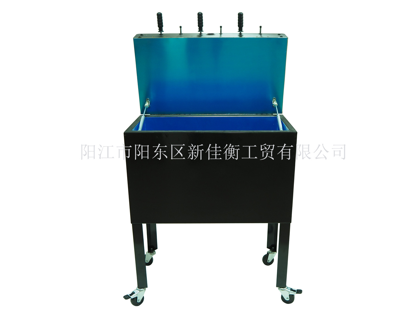 P1170188 P 加水印