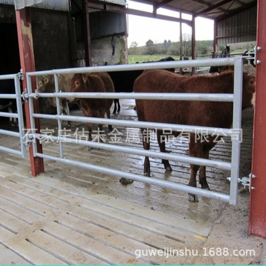 金属护栏网防挤栏杆喷涂栅栏牲畜围栏