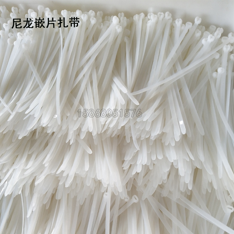 嵌片扎带4 (2).jpg