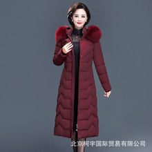 Lq޷Ůb2019¿n@ݚ|Ӻ\