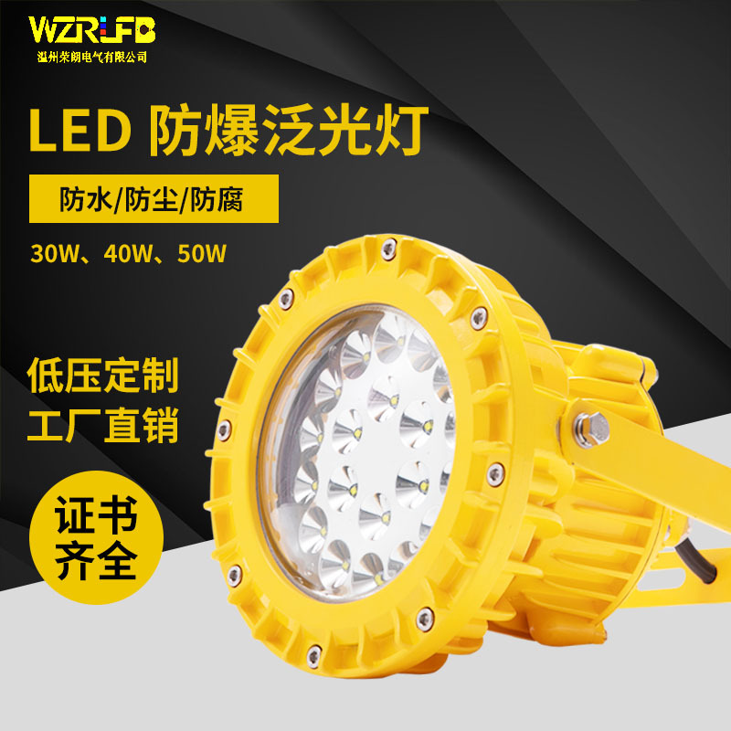 LED防爆平台灯30W40W50W60WLED三防灯防爆投光立杆灯|ms