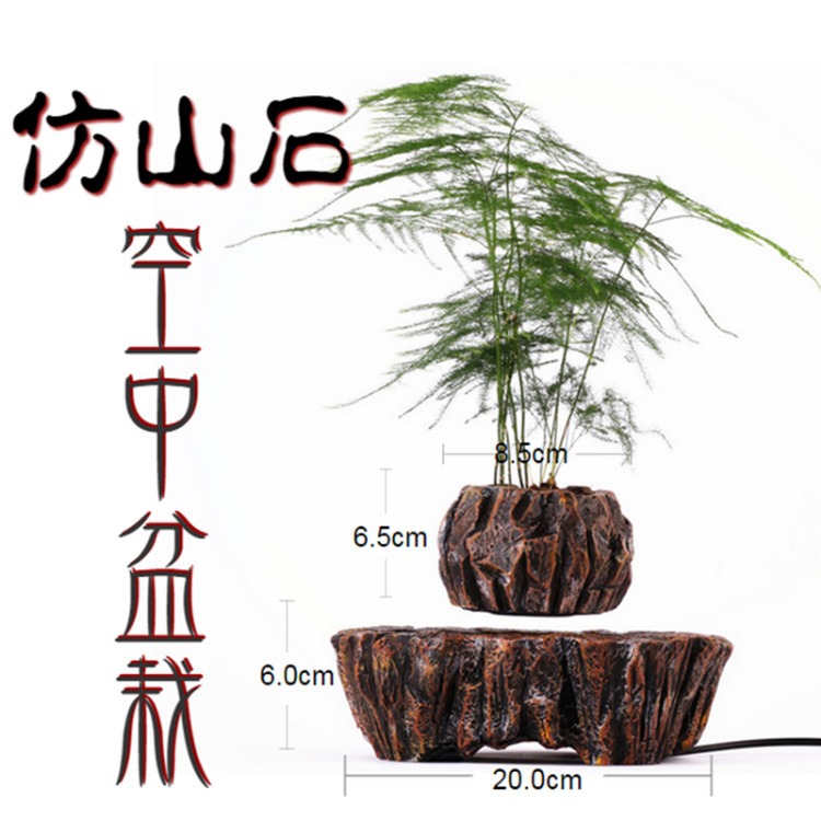 potted plant.jpg