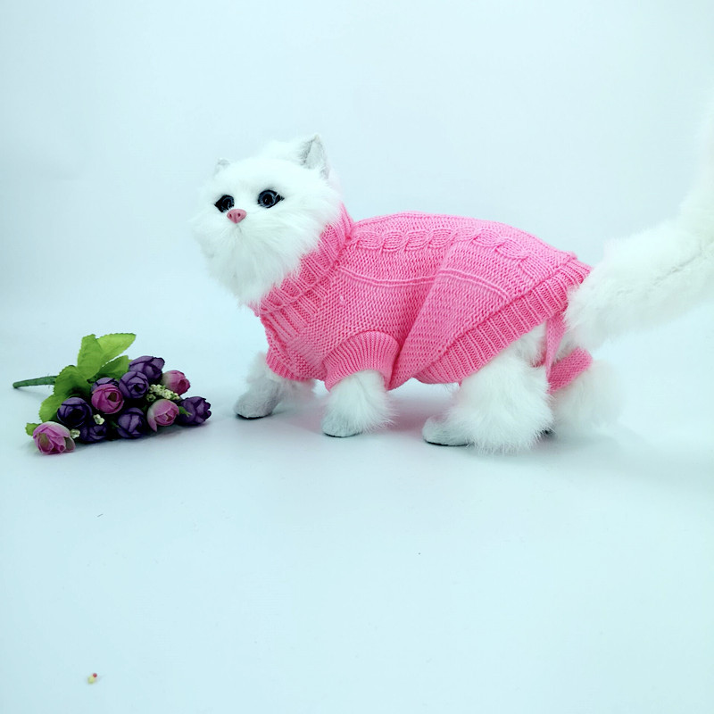 221.jpg