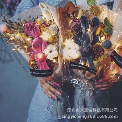 【廠家直銷】創意節慶禮品裝飾  LED鈕扣電池盒款銀線燈串2米20燈