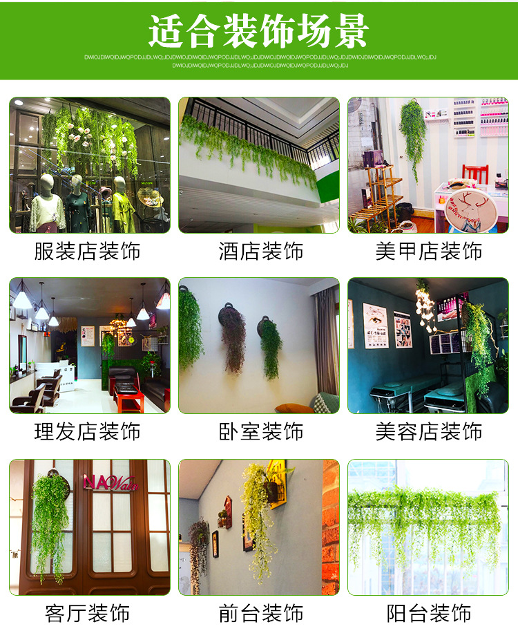 金钟柳 金钟柳壁挂