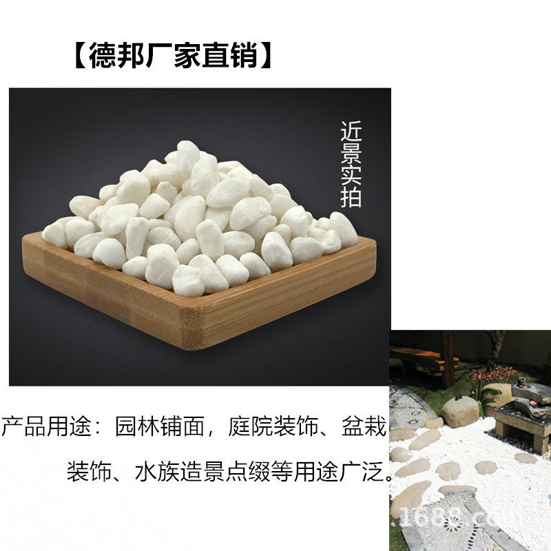 白11.jpg