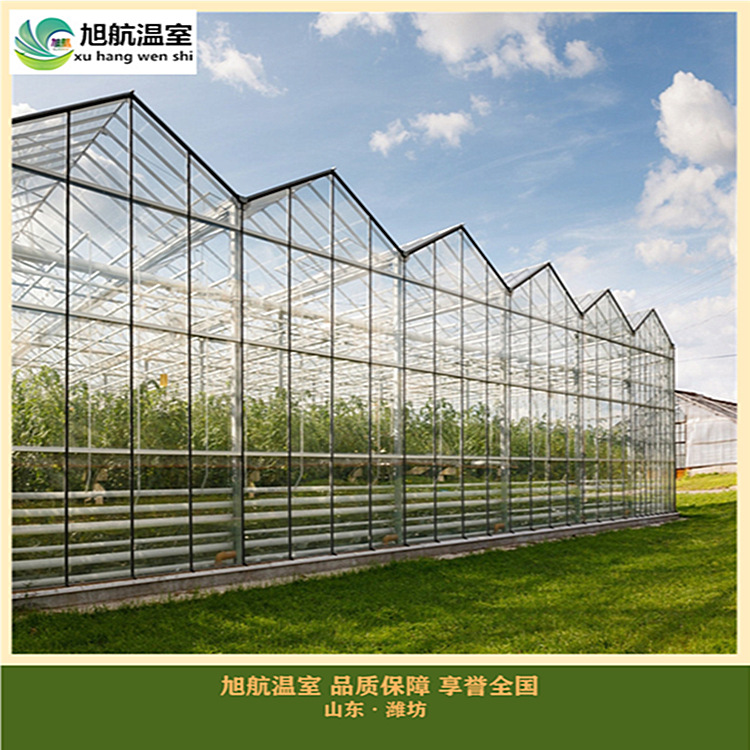 1527541736517_副本