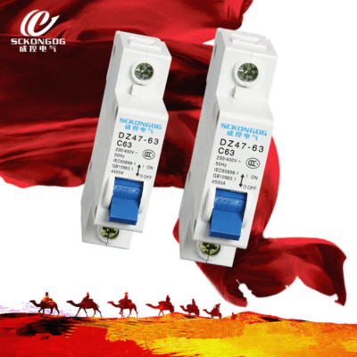 柳市厂家直销1p空开dz47-63小型断路器40a32a63a空气开关低压电器|ru