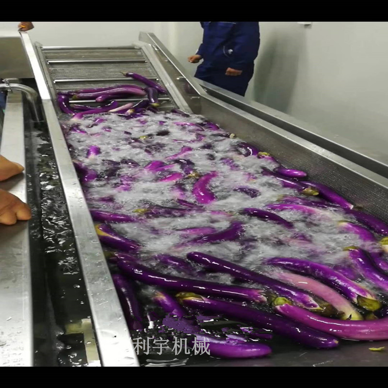 蔬菜气泡式多功能清洗机 白菜高压喷淋清洗机 全自动蔬菜清洗机