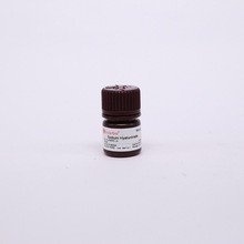 透明质酸钠   9067-32-7   透明质酸  S8190  Hyaluronic acid