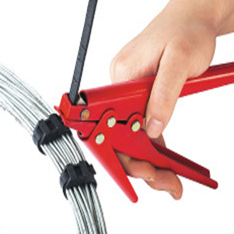 1753469420_1527441010