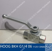 HOOG߉yBKH G1/4 06 11251 DN06 PN50ҺyI