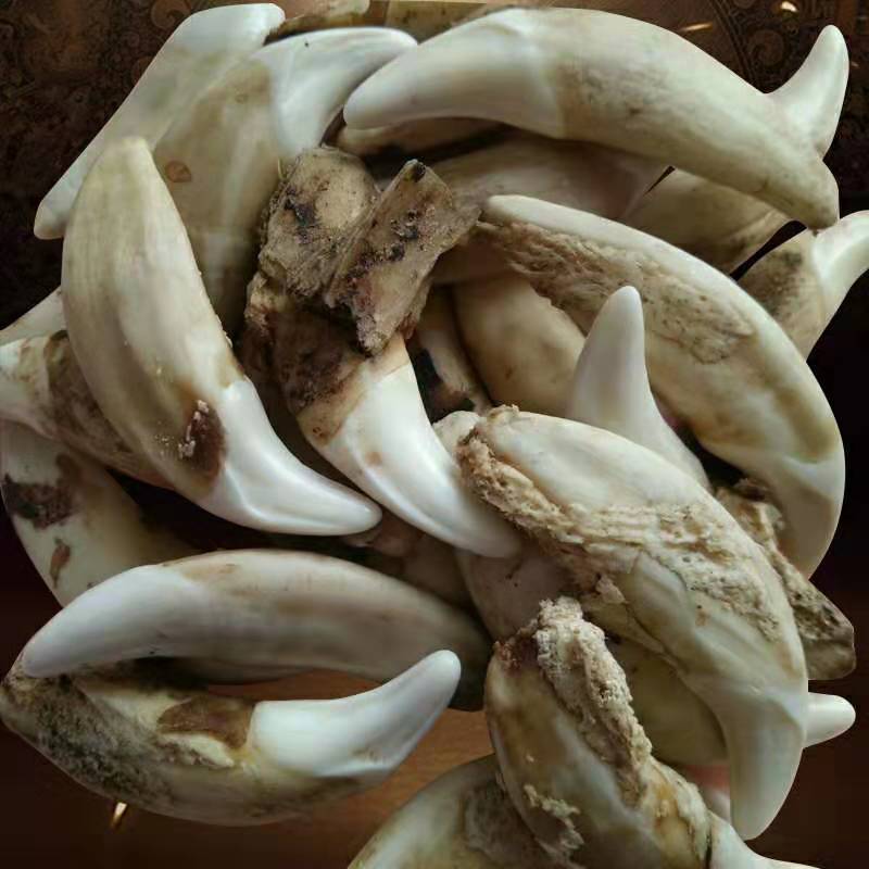 微信图片_20190128175200