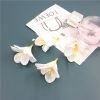 DIY jewelry head flower triangle orchid desktop display 6 -petal triangle orchid pastoral home decoration flowers