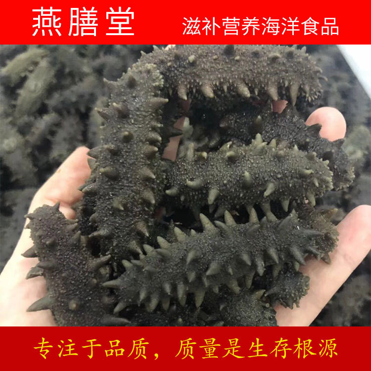 【燕膳堂】海鲜海产品干货100g/件海参速食紫菜海苔鱿鱼丝鱼干|ms