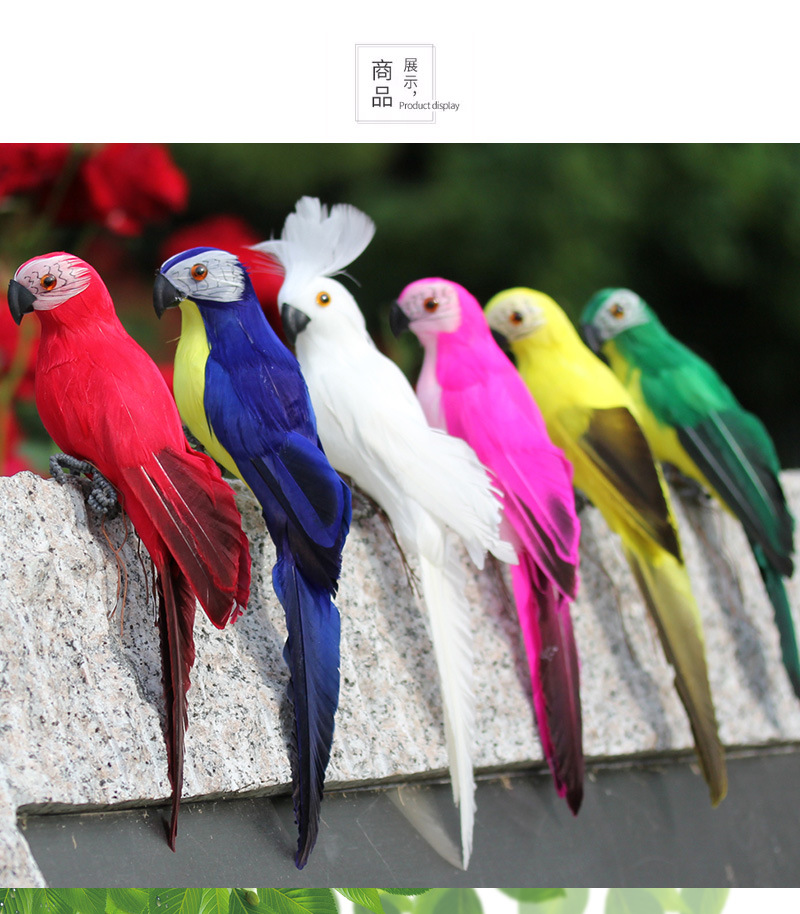 鹦鹉详情页_07.jpg