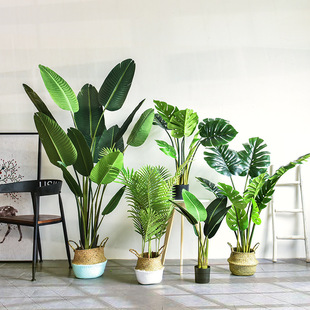 �S��ֱ�N����ֲ�����˽����W�Gֲ�b��҃ȿ͏d�����ƴ����������