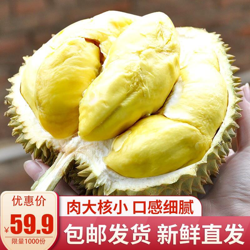 Foreign trade sources Thailand Golden Pillow Durian Durian fresh 2-7 Pounds paragraph Durian wholesale