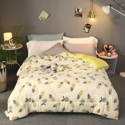 agent One piece On behalf of High-quality Washed cotton quilt Naked Supersoft velvet quilt