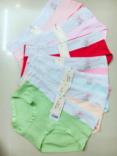 ����231#��С���е����޲���Ů��ѝ