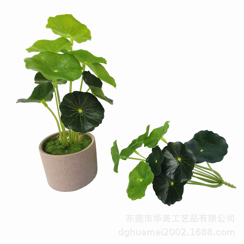 simulation Green plant Plant decoration Potted plant Simulation of small lotus leaf Money leaves Coins grass Flower pot simulation Lotus