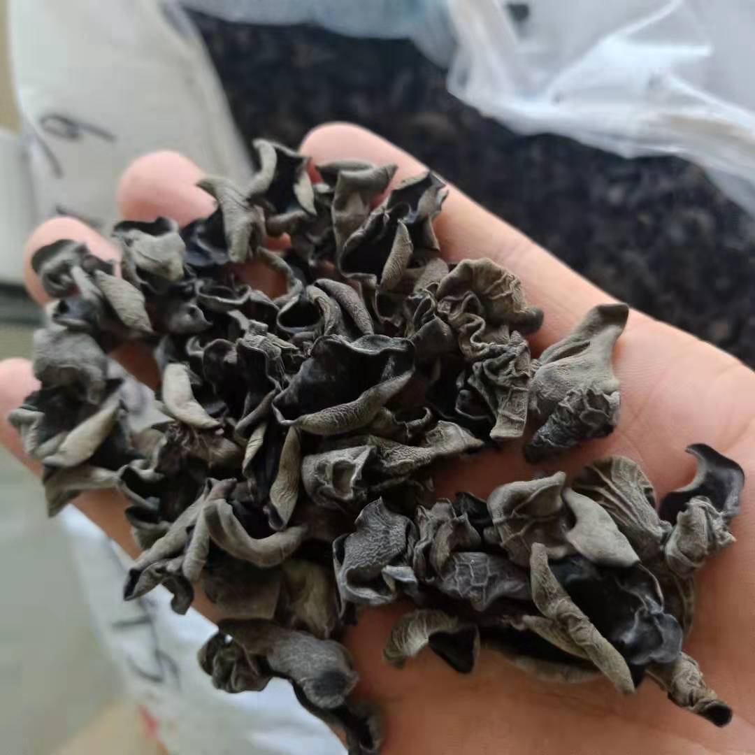 Dried Black Wood Ear Mushroom Small Bowl Grade Autumn Harvest 250g key features