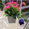 Fake flower potted plant simulation plant bonsai roses spot manufacturers direct selling 9.9 yuan store goods home clothing and decoration