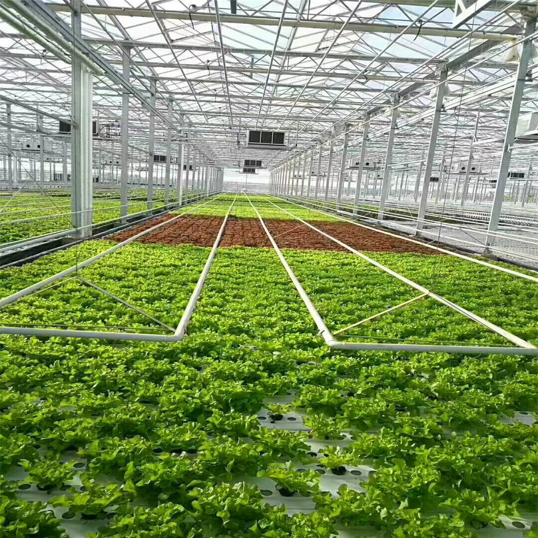 温室大棚 蔬菜大棚管 镀锌管 6分大棚管