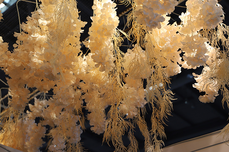 凤尾草 效果图7.jpg