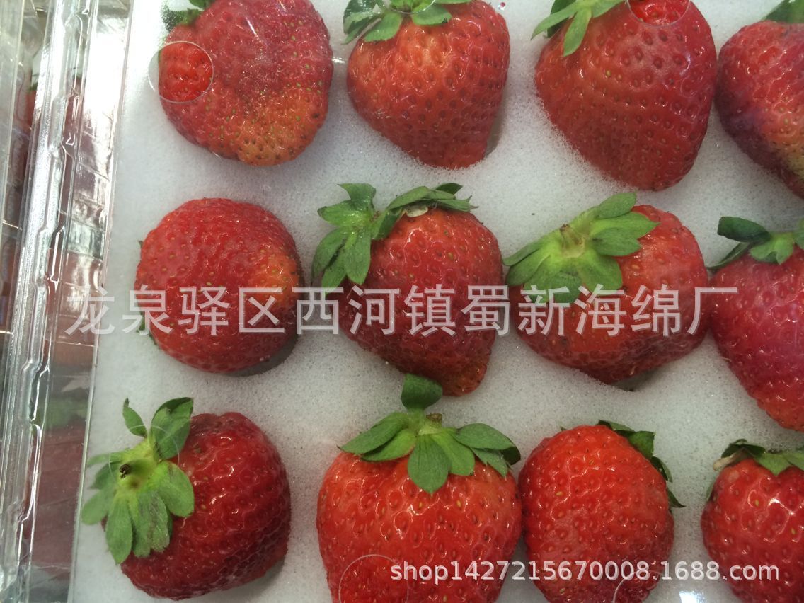 厂家直销草莓防震包装海绵泡沫/专业定制草莓水果快递包装