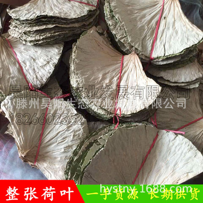 Weishan Lotus leaf tea wholesale Herbal tea Super Dedicated Dry lotus leaf dried food Functional tea Sleep Tea