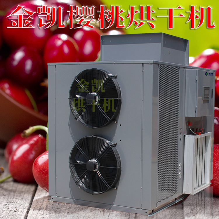 金凯高温热泵樱桃 烘干一体机烘箱变频