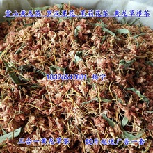 雪山黄龙茶 罗汉果花黄龙根花草茶精选货 罗汉花黄龙茶送广告录音