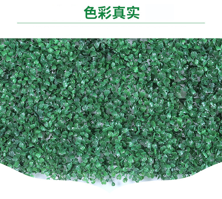 11969541918_1224164119