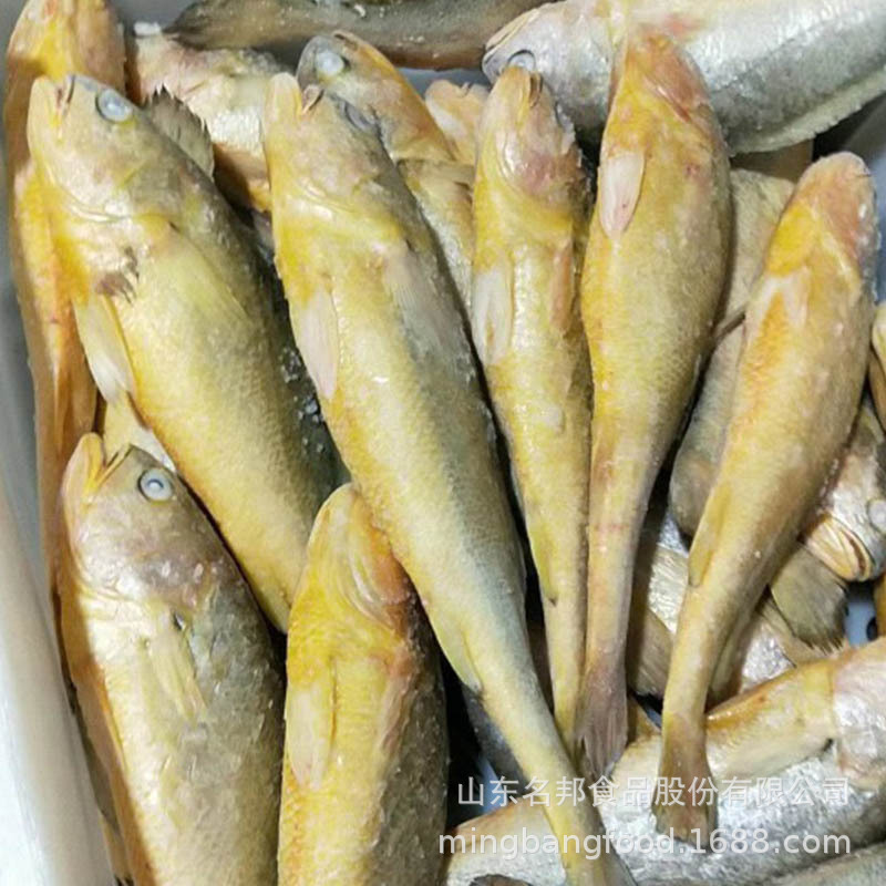 速冻黄花鱼海捕小黄鱼高品质外贸出口转内销