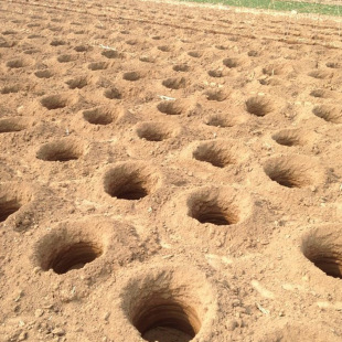 �r�������C���ڿәCֲ�����ֹ�·�G���˸�߀����Ѩ���ڶ��C�ٿәC