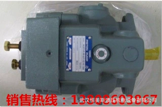 定量齿轮油泵PVB29-RS-31-C-11
