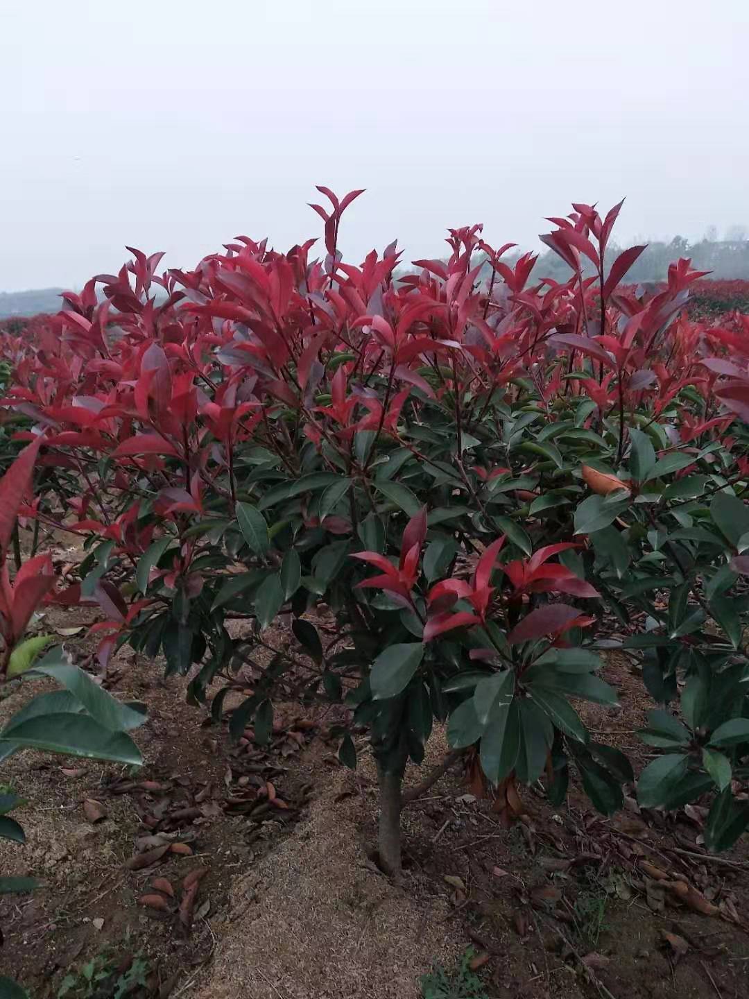 mmexport1568889647886