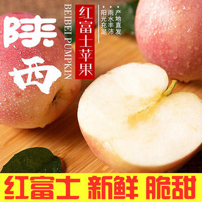 【陝西紅富士】現摘現發紅蘋果新鮮蘋果水果富士蘋果産地批發