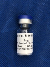 β2-微球蛋白（β2-MG）部分纯化品