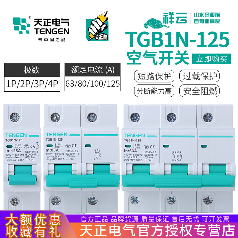 天正TGB1N-125小型断路器DZ47空气开关DZ158 1P/2P/3P/4P闸刀100A